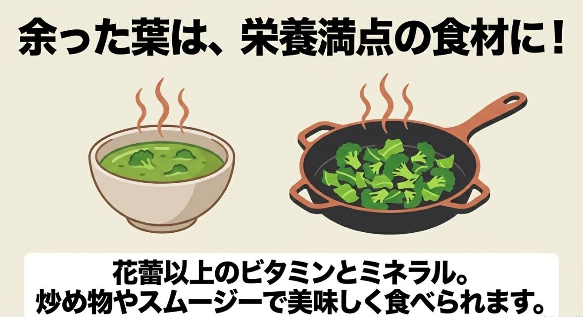 栄養満点なブロッコリーの葉の活用法 余ったブロッコリーの葉は炒め物やスープなど栄養満点の食材に