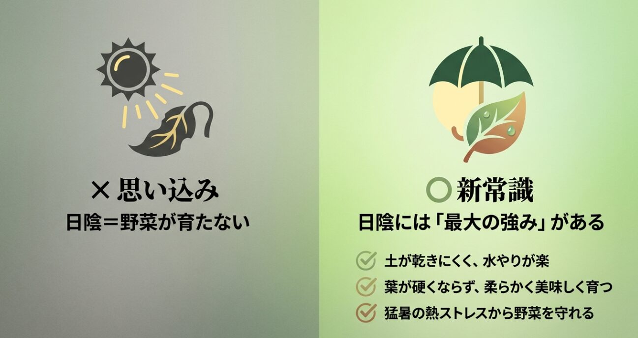 土が乾きにくく水やりが楽、葉が柔らかく美味しく育つ、猛暑の熱ストレスから守れるという日陰栽培のメリットを解説したスライド