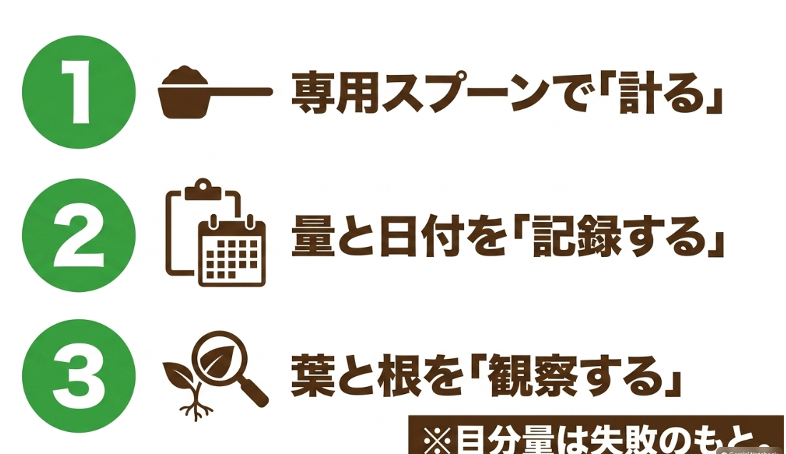 大根の肥料管理で専用スプーンで量る量と日付を記録する葉と根を観察する3原則