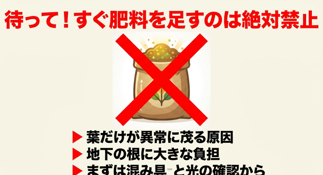 大根が太らない時にすぐ肥料を追加せず株の混み具合と日当たりを確認するポイント