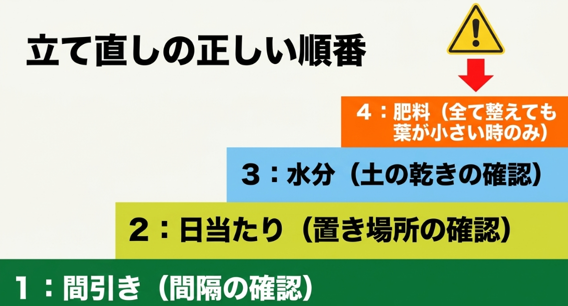 大根が育たない時は間引き、日当たり、水分、肥料の順番で確認する