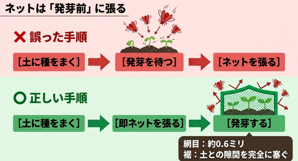大根の種まき後すぐに防虫ネットを張り発芽前から害虫の侵入を防ぐ正しい手順の図