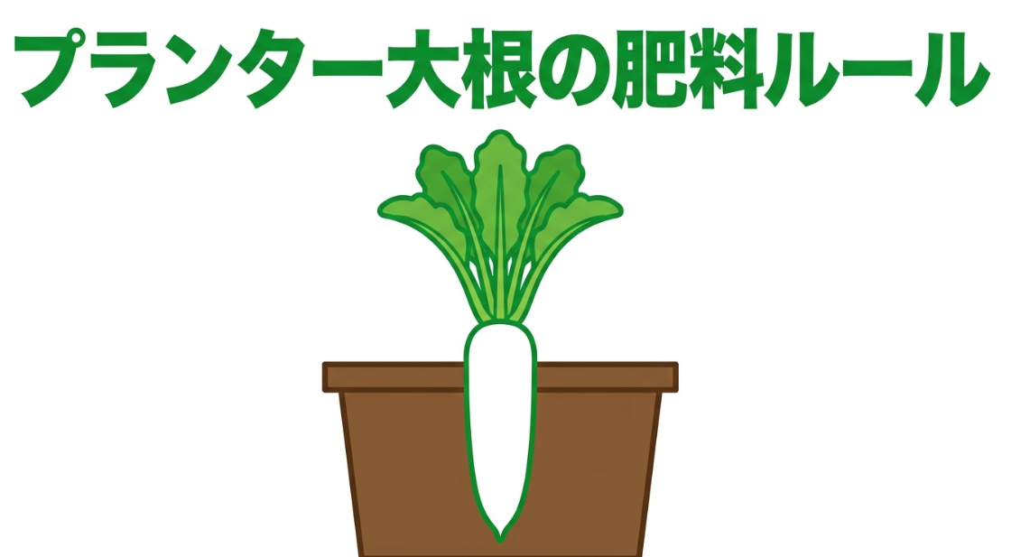プランターで育てる大根と肥料管理の基本ルールを示したイラスト