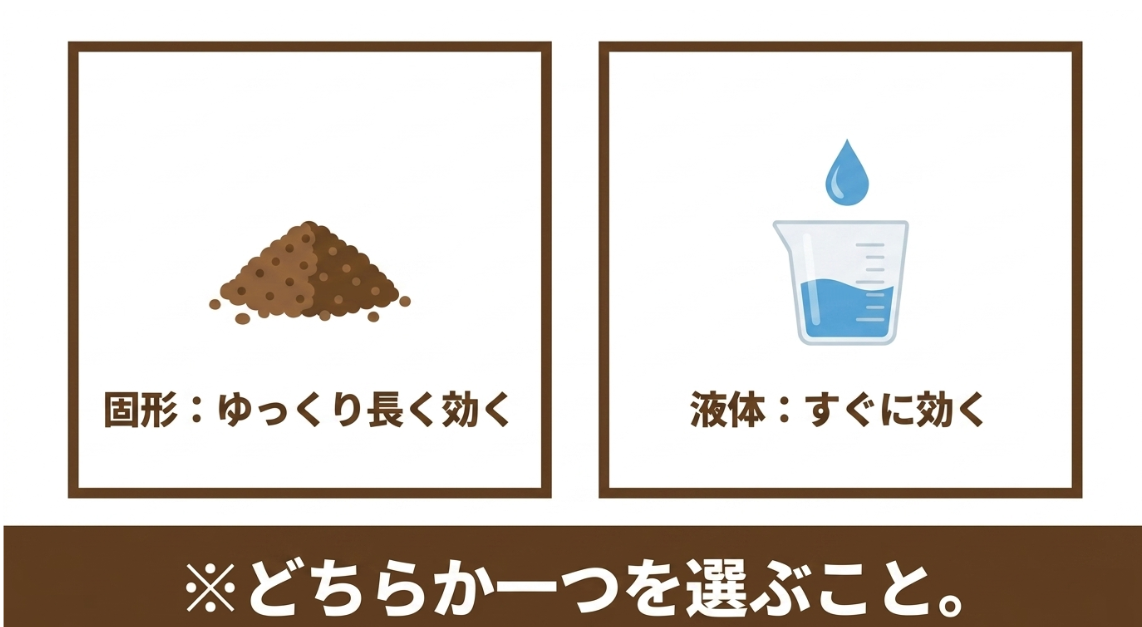 大根栽培で固形肥料はゆっくり長く効き液体肥料はすぐ効く違いを示した比較図