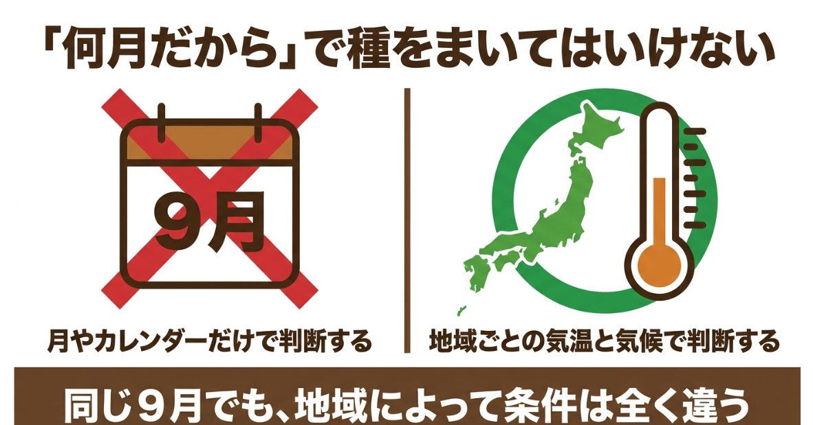 大根の種まき時期は月やカレンダーだけでなく地域ごとの気温と気候で判断する