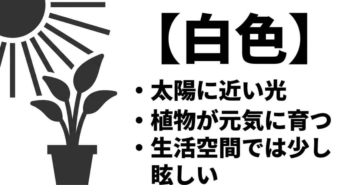 白色の植物育成ライトの特徴とメリット、デメリットをわかりやすく解説