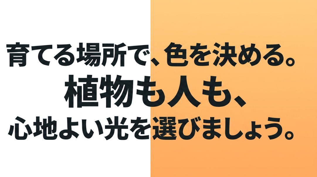 植物育成ライトは育てる場所と目的に合わせて白色か暖色を選ぶことが大切