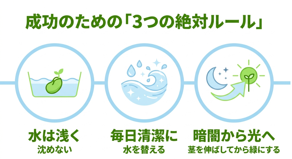 かいわれ大根の水耕栽培で守りたい浅い水、毎日の水替え、暗所から光へ移す3つの基本