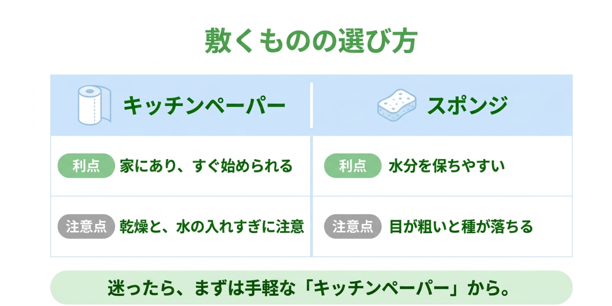 かいわれ大根の水耕栽培で使うキッチンペーパーとスポンジの利点と注意点の比較