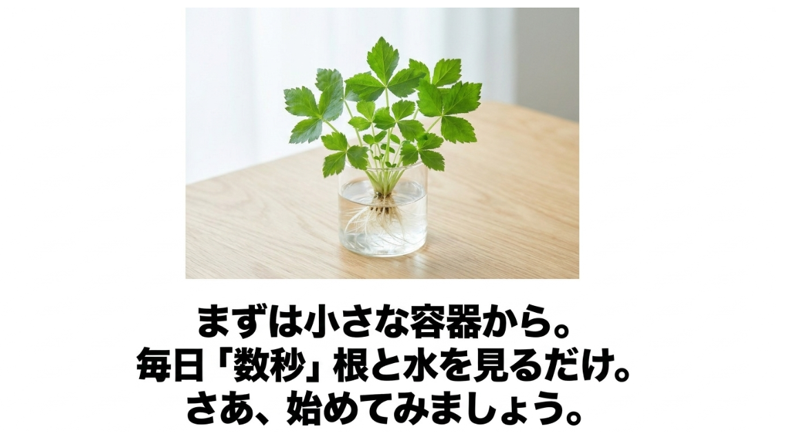 三つ葉の水耕栽培を小さな容器から始め毎日根と水の状態を確認するポイント