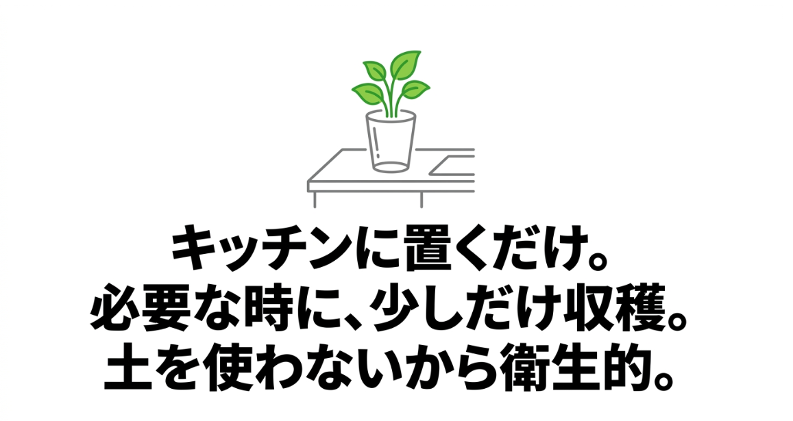 三つ葉をキッチンに置いて必要な分だけ収穫できる水耕栽培のメリット
