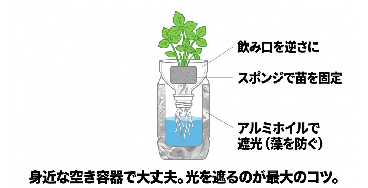 ペットボトルを逆さにしてスポンジで三つ葉を固定し養液部分を遮光する水耕栽培容器