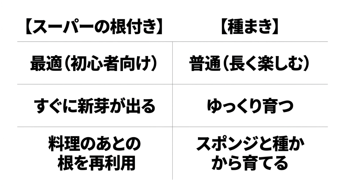 スーパーの根付き三つ葉の再生栽培と種から育てる水耕栽培の違い