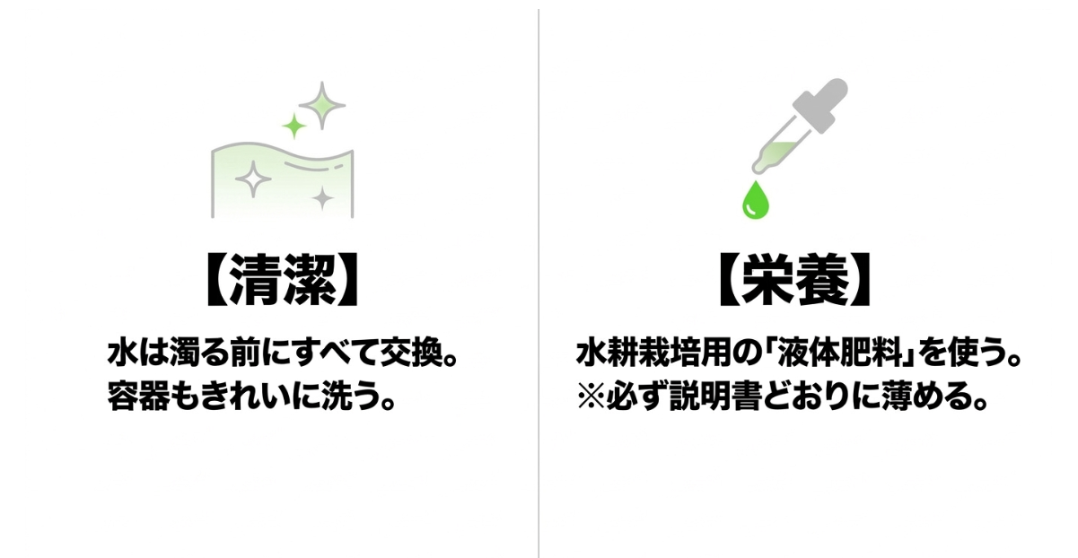 三つ葉の水耕栽培で水を交換して容器を洗い専用液体肥料を規定倍率で使う方法