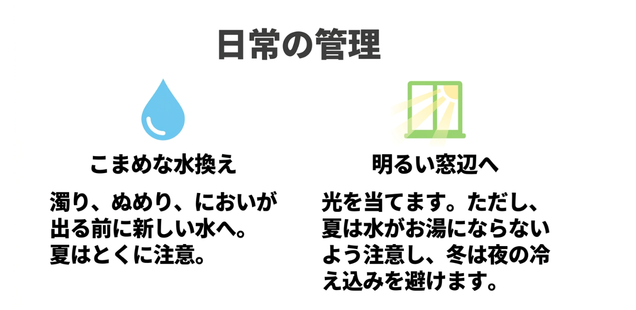 ネギの水耕栽培で行う水換えと明るい窓辺での置き場所管理