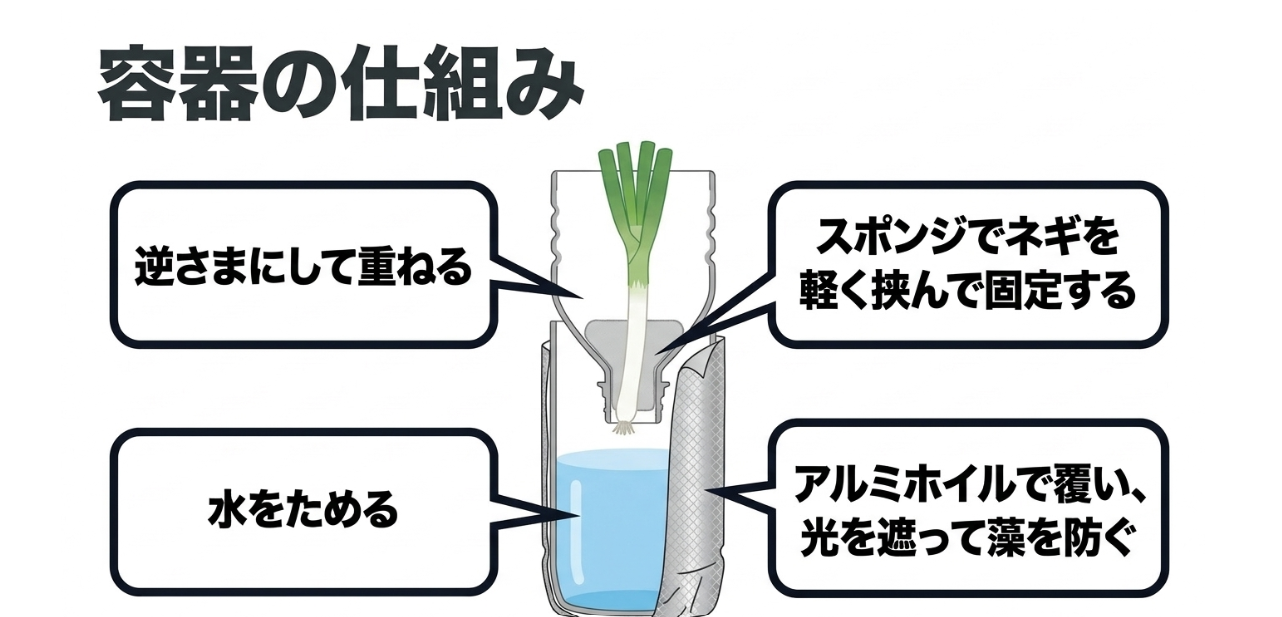ネギの水耕栽培でペットボトルを逆さにしスポンジで固定して遮光する仕組み