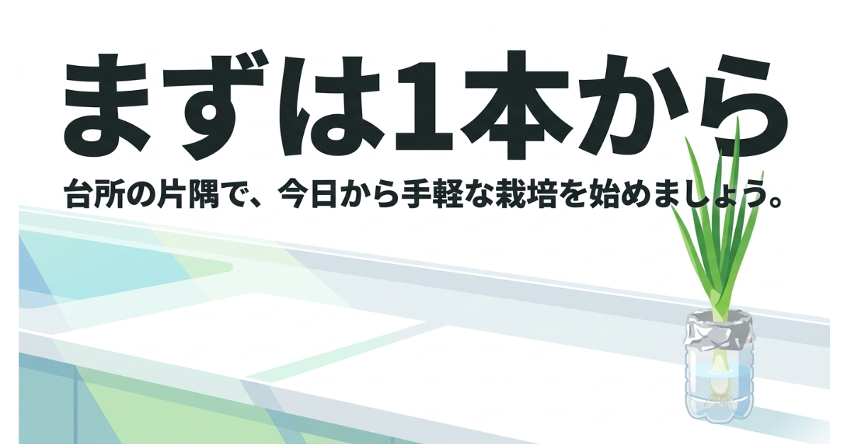 ネギの水耕栽培を台所の片隅で1本から始めるイメージ