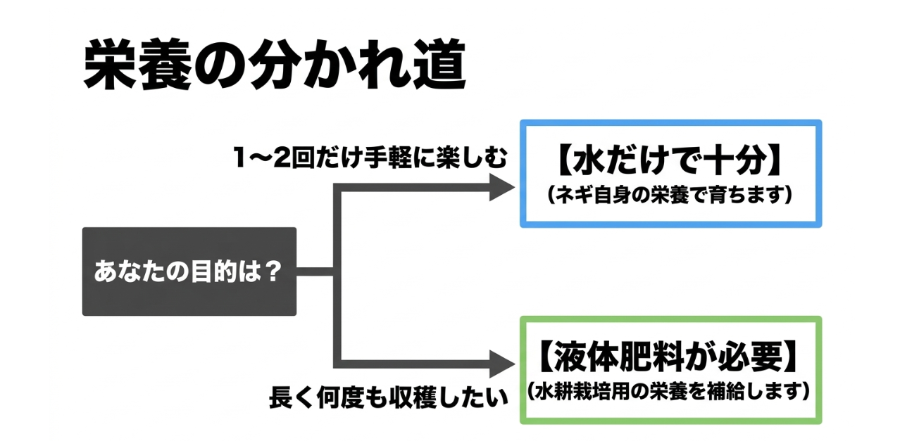 ネギの水耕栽培で水だけで育てる場合と液体肥料が必要な場合の違い