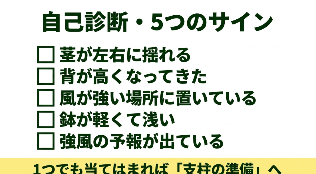 オクラの茎の揺れや草丈、強風、鉢の深さなど支柱が必要か判断する5つのサイン