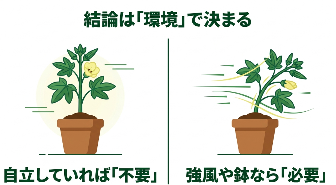 オクラは自立していれば支柱不要で強風やプランター環境では支柱を検討する目安