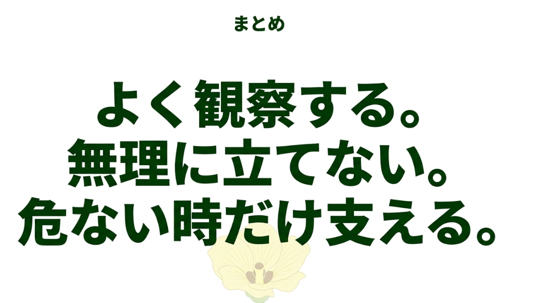 オクラは株を観察して無理に支柱を立てず必要なときだけ支えるという支柱対策のまとめ