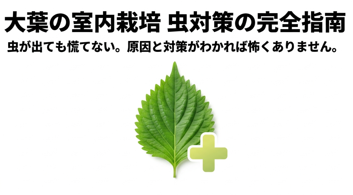 大葉の室内栽培で虫が出たときの原因と対策を解説するガイド