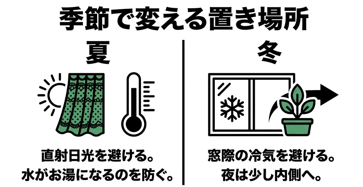 パセリの水耕栽培で夏は直射日光を避け冬は窓際の冷気を避ける置き場所の図