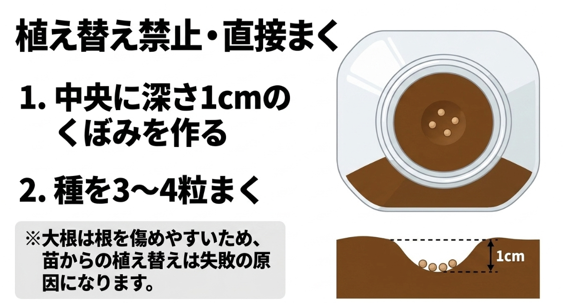 ペットボトルの中央に深さ1cmのくぼみを作り大根の種を3から4粒直播きする方法