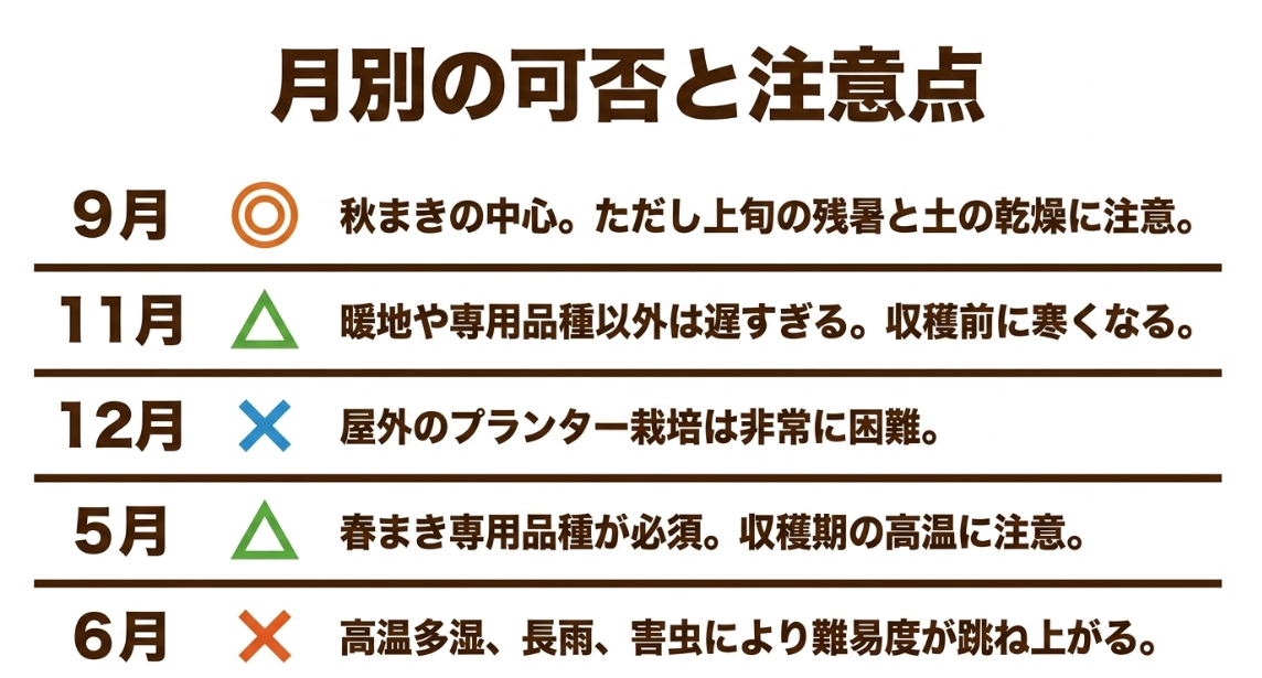 大根の種まきの月別の可否と注意点一覧（9月、11月、12月、5月、6月）