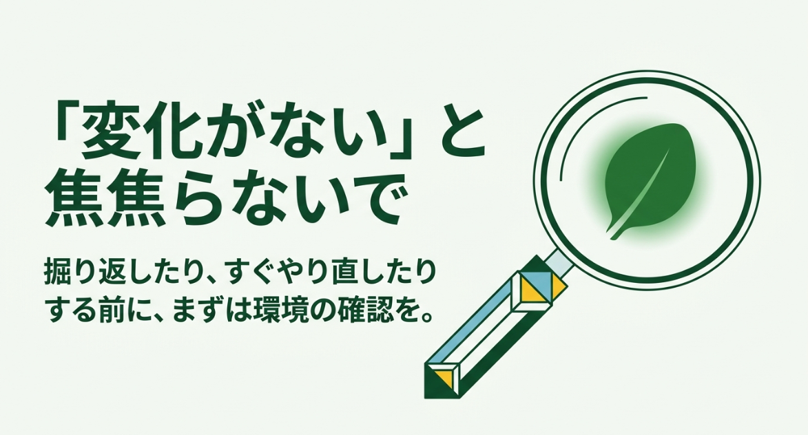 ほうれん草の種に変化がないときは掘り返さず温度や水分など栽培環境を確認する
