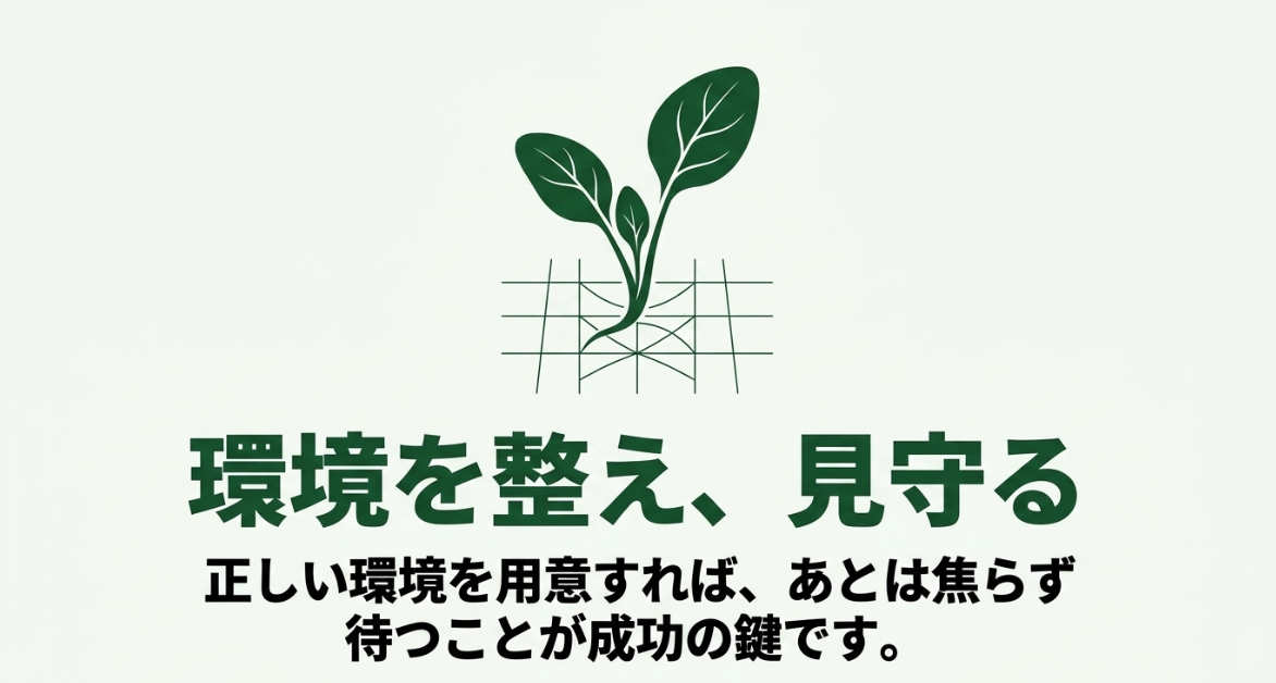 ほうれん草の水耕栽培は温度と水分など発芽環境を整えて焦らず見守ることが大切