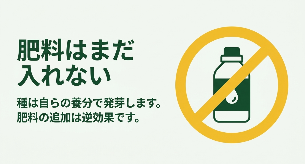 ほうれん草の発芽前は肥料を追加せず水分や酸素、温度を先に確認する