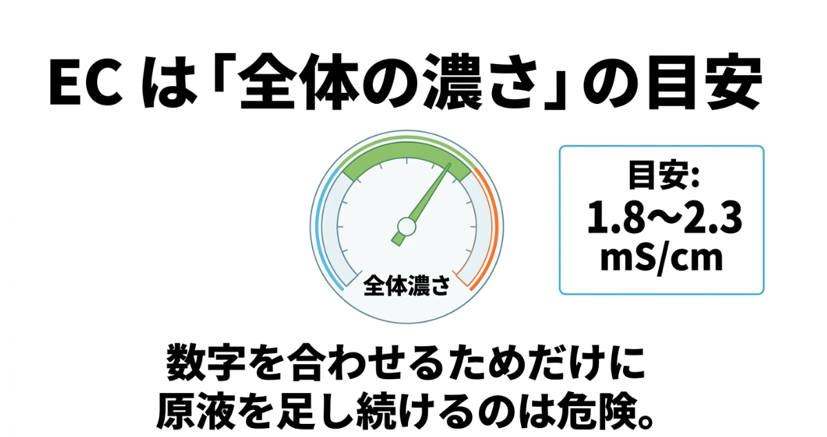 ほうれん草の水耕栽培で参考になるEC1.8〜2.3mS/cmと液肥の濃度管理上の注意点