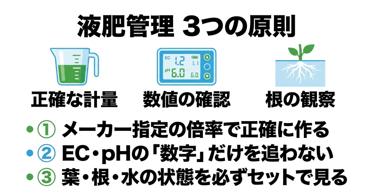 ほうれん草の水耕栽培で大切な液肥の正確な計量、ECとpHの確認、根の観察の3原則