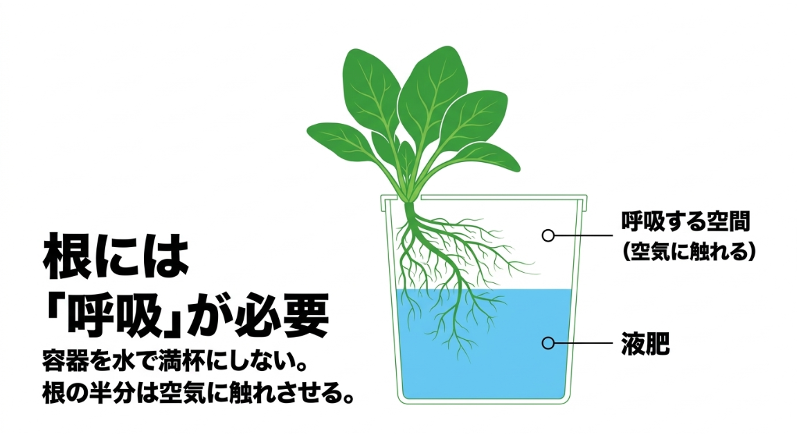 水耕栽培の容器でほうれん草の根の上部を空気に触れさせ下部を培養液に浸す仕組み