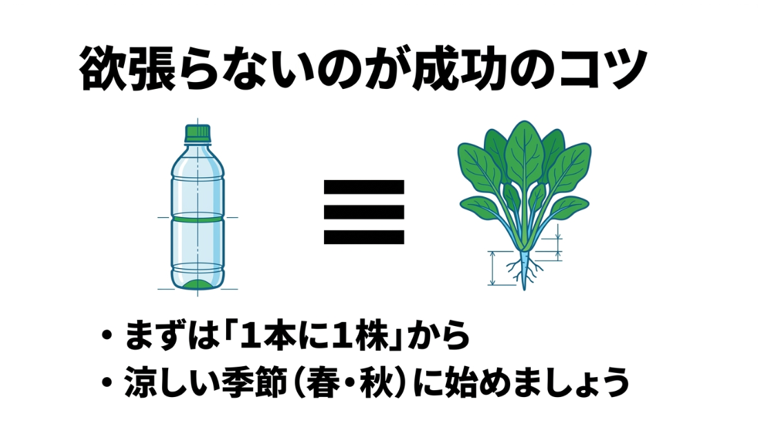 ほうれん草のペットボトル水耕栽培を1本1株で春や秋に始めるポイント