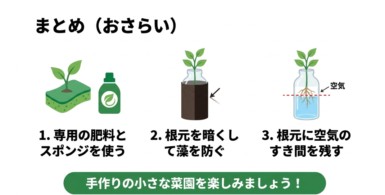 専用肥料と育苗スポンジ遮光と根元の空気層を確認するペットボトル水耕栽培のポイント