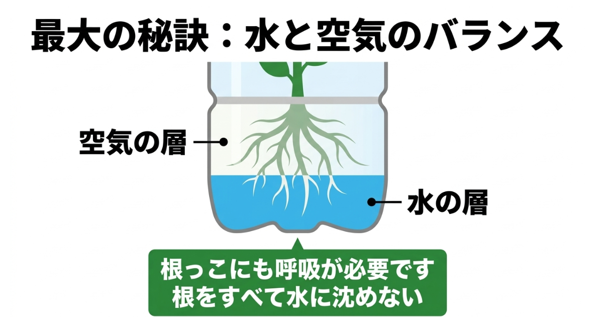 根の下部を培養液につけ上部を空気に触れさせる水耕栽培の水と空気のバランス