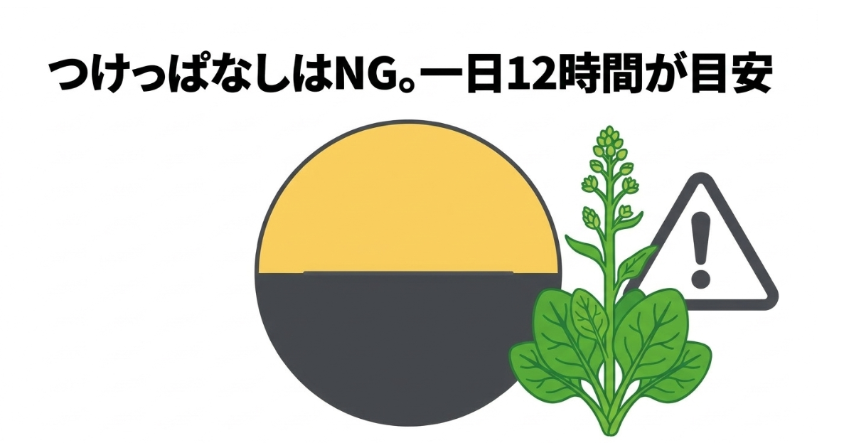 ほうれん草の育成LEDを夜通し点灯させず、とう立ちに注意して点灯時間を管理する説明図