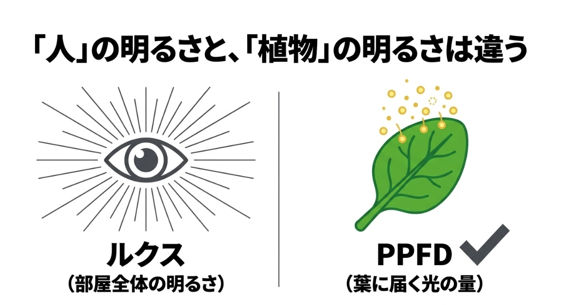 人の目で感じる明るさを示すルクスと、葉に届く光の量を示すPPFDの違いを説明する図