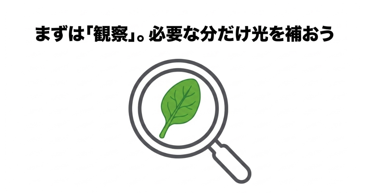 ほうれん草の葉の成長を観察し、光不足の場合だけ育成LEDで補う考え方を示した図