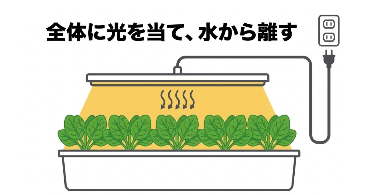 水耕栽培のほうれん草全体にLEDの光を当て、水と電源を離して安全に設置する説明図