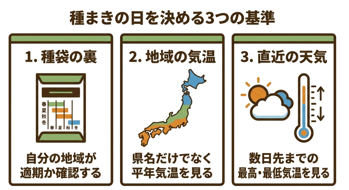 大根の種まき日を決める3つの基準（種袋の裏、地域の気温、直近の天気）