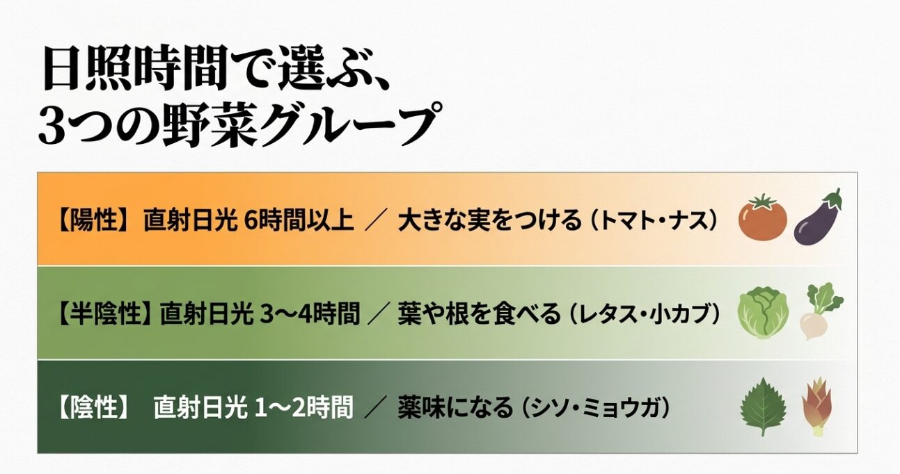 必要な日照時間に応じて野菜を陽性・半陰性・陰性の3つのグループに分類した解説スライド