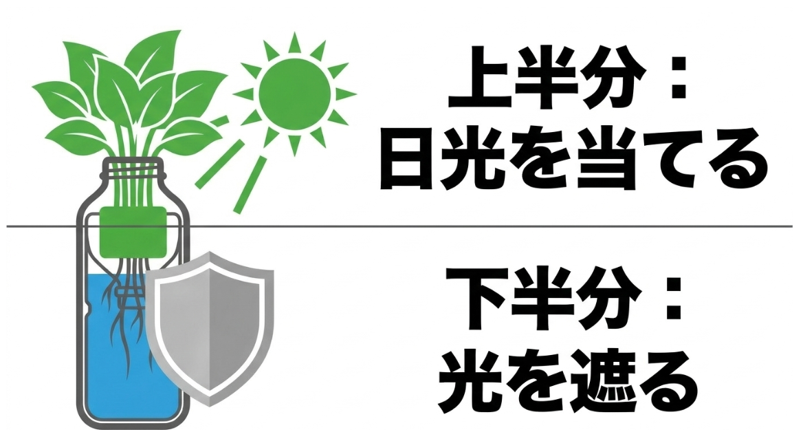 空芯菜の葉には日光を当てペットボトルの培養液部分は遮光する水耕栽培方法