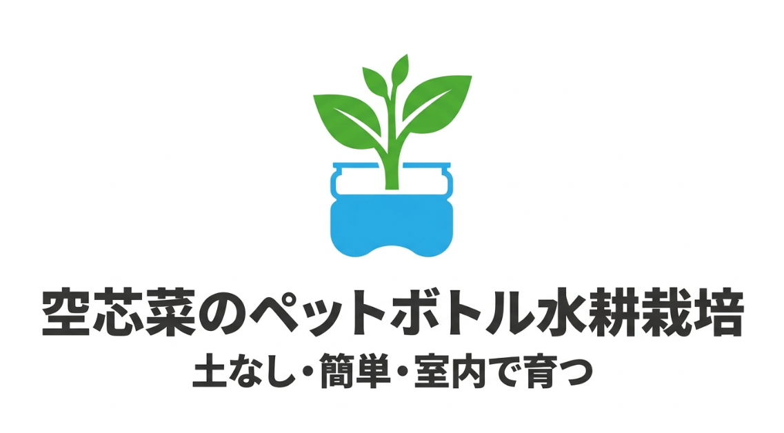空芯菜をペットボトルで土を使わず水耕栽培する方法