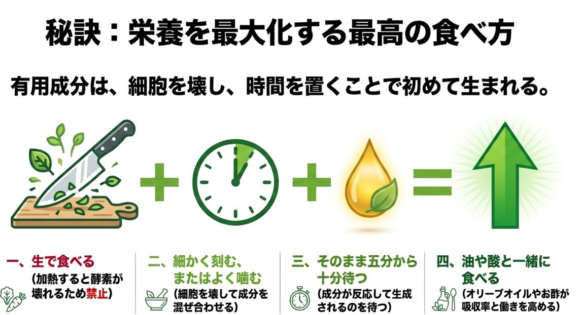 スルフォラファンなどの栄養素を最大化する生食や刻むなどの効果的な食べ方