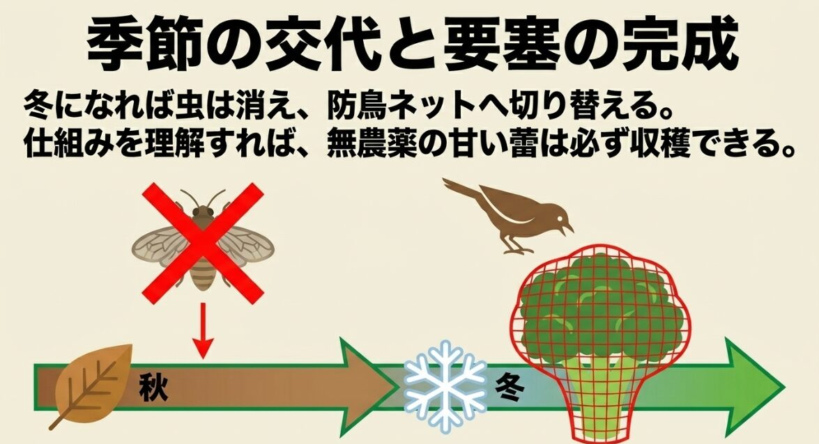 季節の変化とネットの切り替え 秋冬への季節の交代と防鳥ネットへの切り替えイメージ