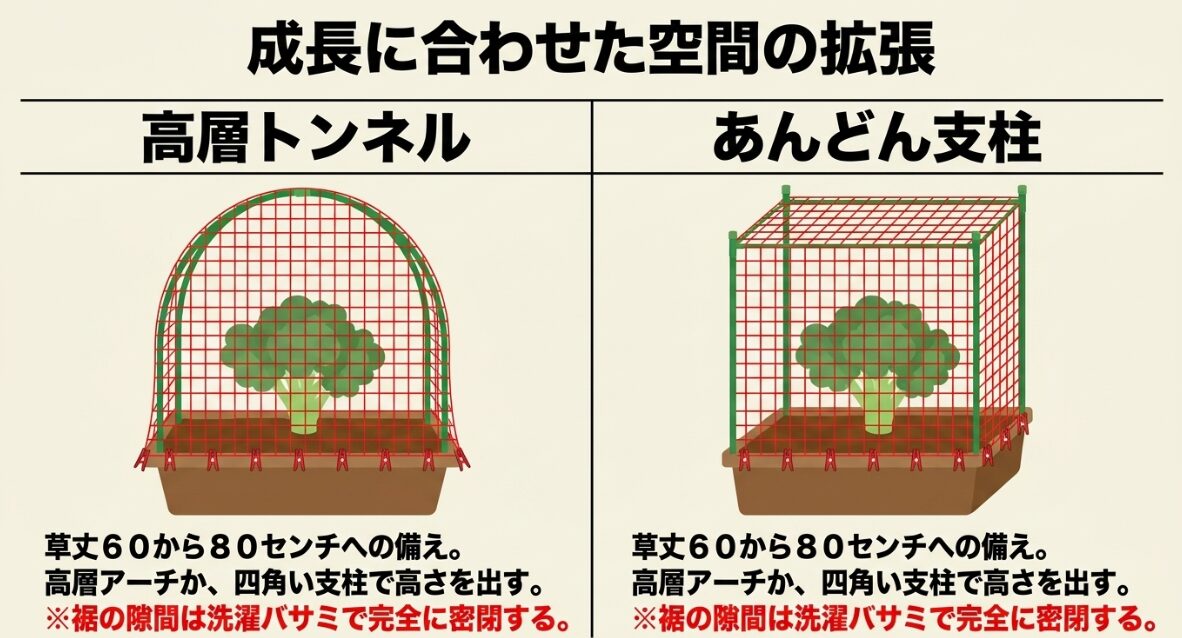 高層トンネルとあんどん支柱による空間拡張 成長に合わせて拡張する高層トンネルとあんどん支柱のイラスト