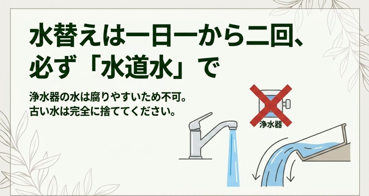 ブロッコリースプラウトの水替えは1日1〜2回、腐敗を防ぐために必ず水道水を使用するルールの解説